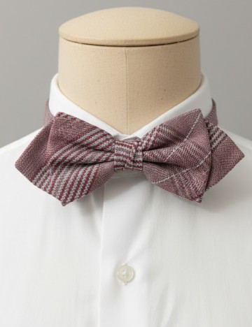 Papion Zara, visiniu