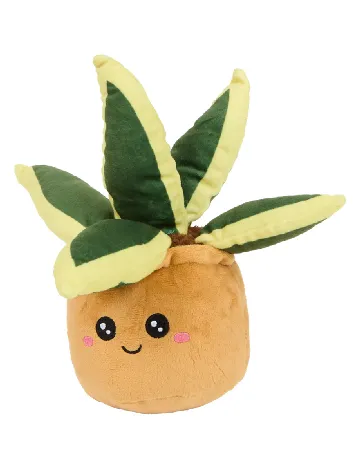 Planta de plus in ghiveci ACTION, mix culori Mix culori