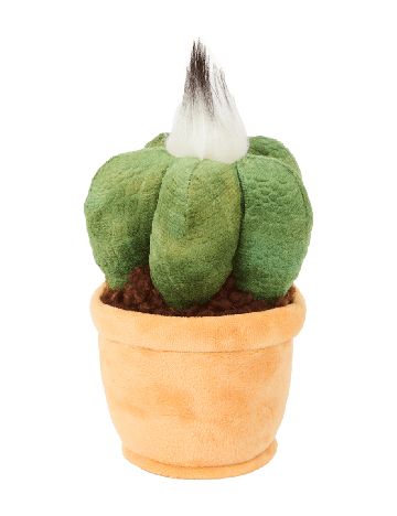 Planta de plus in ghiveci Toys Amsterdam, mix culori