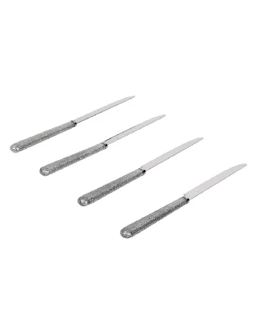 Set cutite 4 bucati ACTION, argintiu Gri