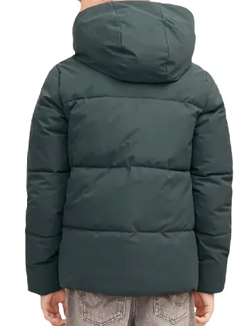 Geaca Jack&Jones, verde Verde