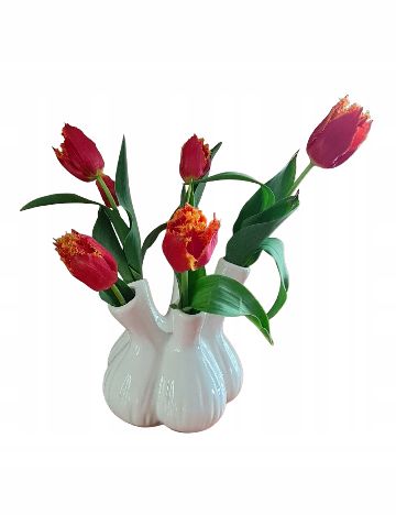 Vaza Home Accents, alb