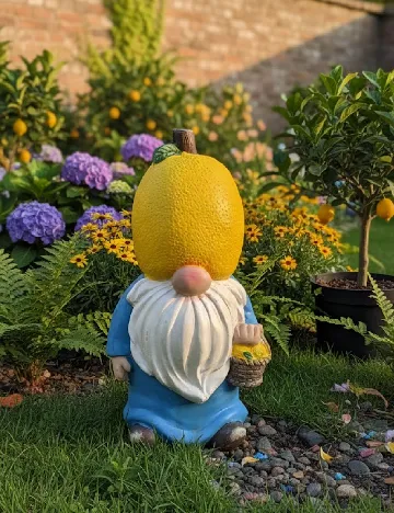 Pitic de gradina ACTION, mix culori