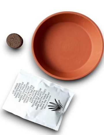 Kit DIY ACTION, mix culori