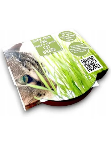 Kit DIY ACTION, mix culori