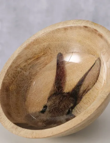 Bol din lemn de mango BOLTZE, maro