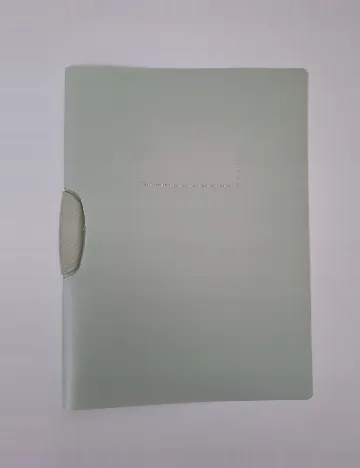 Dosar pentru documente DLP Industry, verde