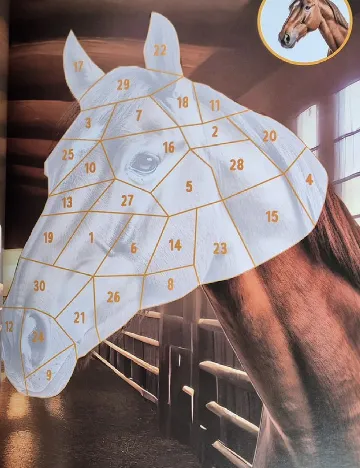 Carte de colorat Durabo, mix culori