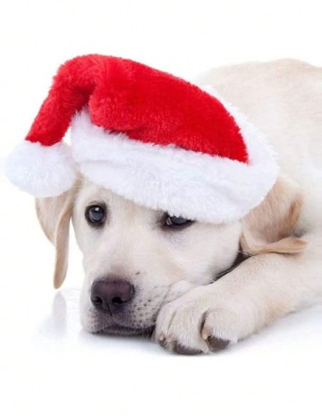 Caciula pentru Animale SHEIN, rosu