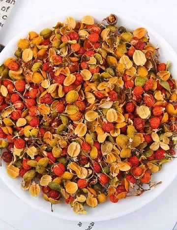 Set flori naturale uscate SHEIN, mix culori