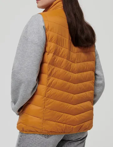 Vesta Sinsay, portocaliu