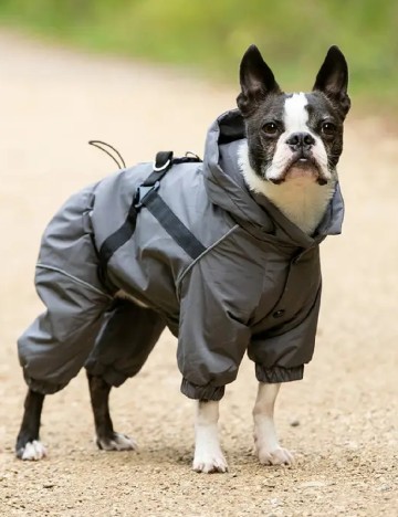 Haina pentru caini Hugo & Hudson, gri