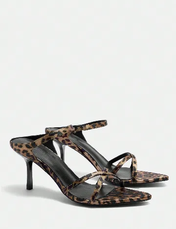 Saboti Cuccoo, animal print