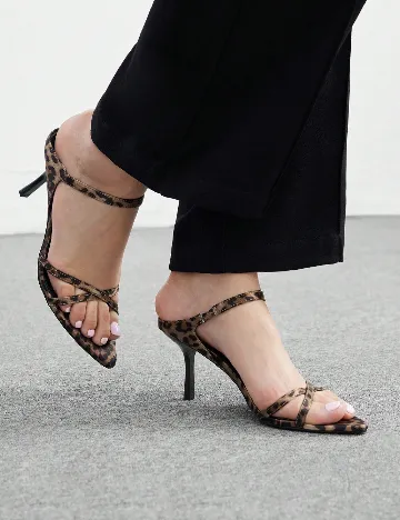 Saboti Cuccoo, animal print