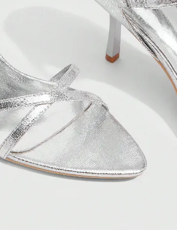 Saboti Cuccoo, argintiu