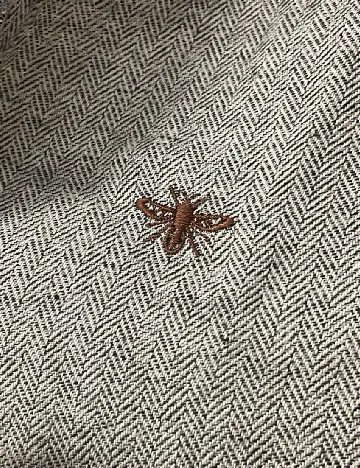 Camasa River Island, gri