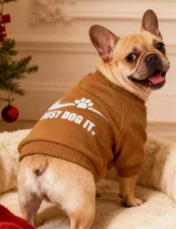 Haina pentru caini SHEIN, maro