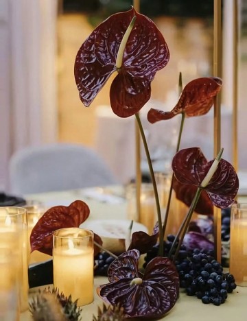 Planta artificiala 5 bucati SHEIN, maro/verde