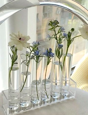 Set eprubete, 20 bucati SHEIN, transparent