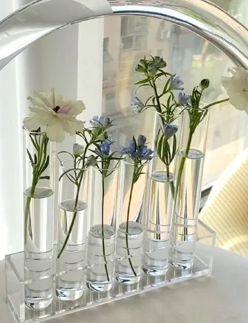 Set eprubete, 20 bucati SHEIN, transparent