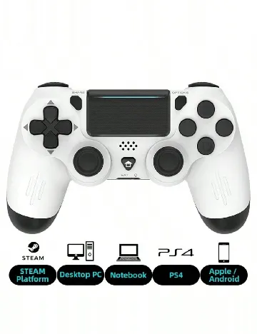 Controller SHEIN, alb