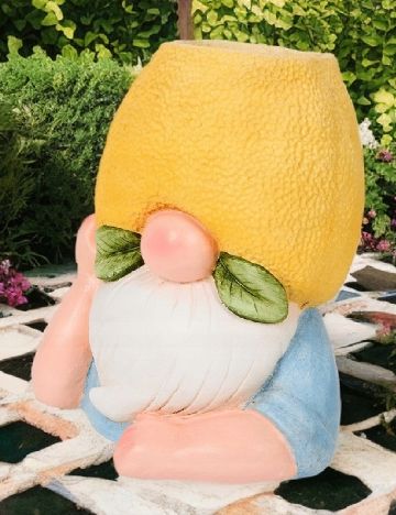 Ghiveci ACTION, mix culori