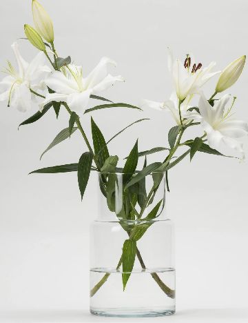 Vază decorativă din sticlă ACTION, transparent