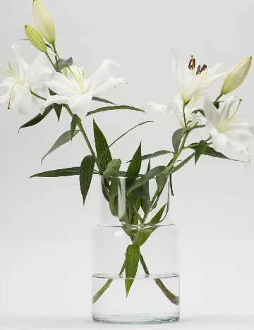 Vază decorativă din sticlă ACTION, transparent