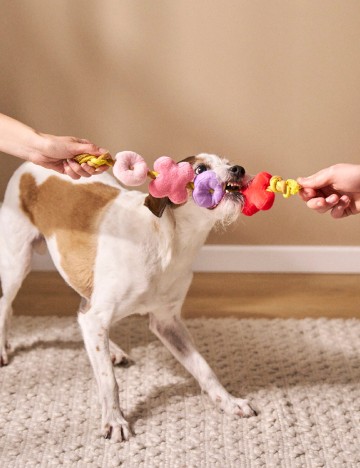 Jucarie pentru caini Sinsay, mix culori