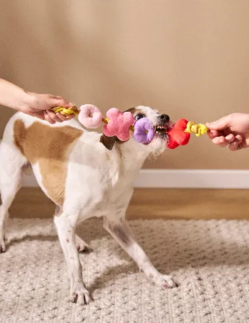 Jucarie pentru caini Sinsay, mix culori