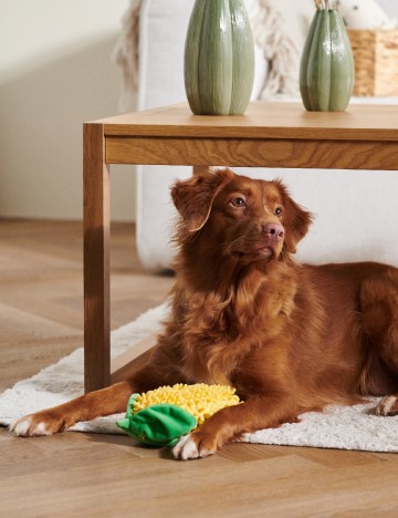 Jucarie pentru caini Sinsay, galben