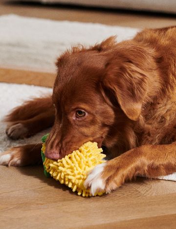 Jucarie pentru caini Sinsay, galben