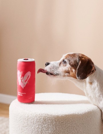 Jucarie pentru caini Sinsay, rosu