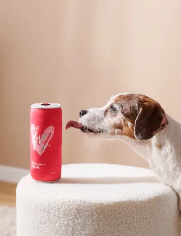 Jucarie pentru caini Sinsay, rosu