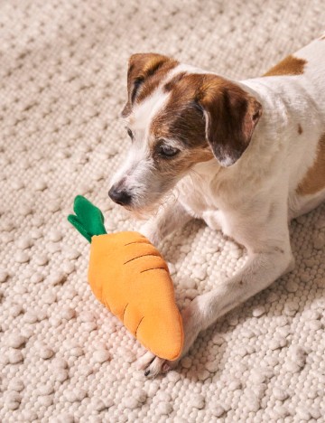 Jucarie pentru caini Sinsay, portocaliu