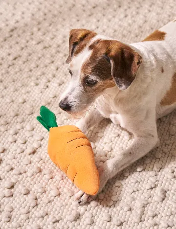 Jucarie pentru caini Sinsay, portocaliu