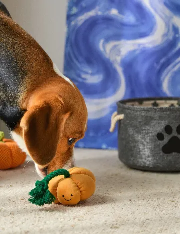 Jucarie pentru caini Sinsay, portocaliu