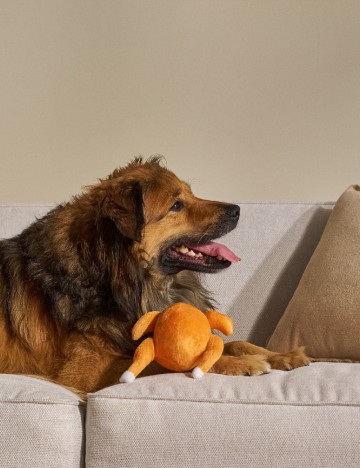 Jucarie pentru caini Sinsay, maro