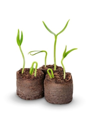 Pamant pentru ghiveci, 24 bucati ACTION, maro