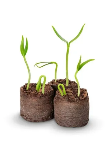 Pamant pentru ghiveci, 24 bucati ACTION, maro