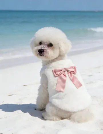 Haina pentru caini SHEIN, alb