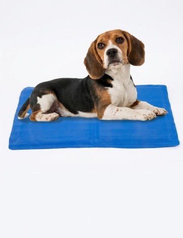 Covoras de racire pentru caini ACTION, albastru