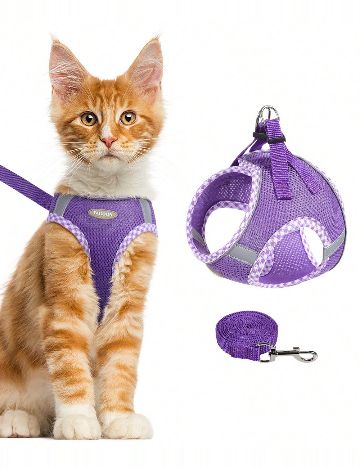 Ham pentru pisici SHEIN, mov