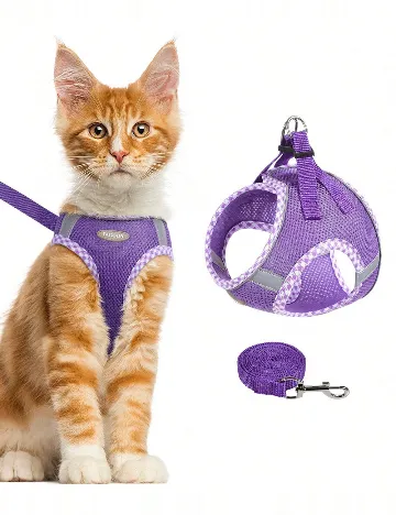 Ham pentru pisici SHEIN, mov