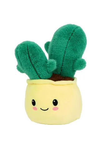 Planta de plus ACTION, mix culori