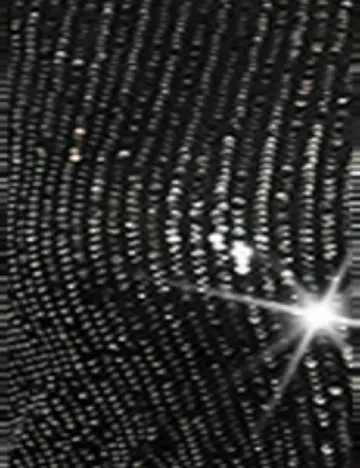 Rochie medie SHEIN CURVE, negru