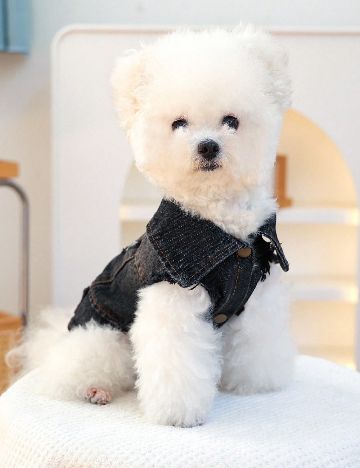 Haina pentru caini SHEIN, negru