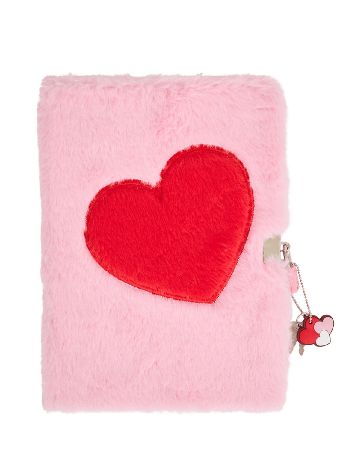 Agenda DLP Industry, roz