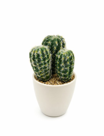 Cactus artificial ACTION, verde