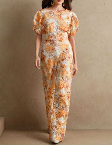 Compleu Anewsta, mix culori